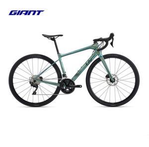 Xe road Liv Avail ADV 2 2022