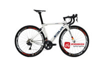 XE SAVA – X3 PlUS / SHIMANO ULTEGRA R8000