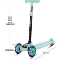 Xe scooter gấp gọn TE