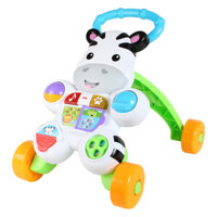 Xe tập đi Fisher Price DKH80