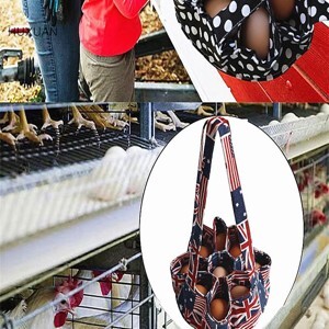 Xe tập đi gỗ con gà mộc