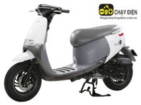 Xe tay ga 50cc Gogolo Dibao