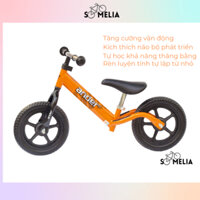 Xe thăng bằng Ander Basic màu Cam