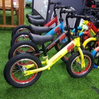 Xe Thăng Bằng Aocong 12inch