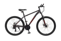 Xe thể thao MARTIN 107 Martin MT16