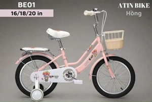 Xe trượt BE01