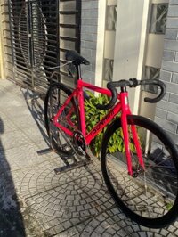 Xe TSUNAMI SNM100 Vành 4cm - Fixed gear - Hồng S - Đùi OTA 48T - S (chiếc)