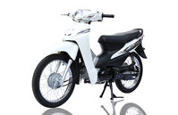 XE WAVE ESPERO 50CC