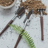 Xẻng làm vườn mini bằng thép carbon cho cây mọng nước, bộ ba món nhỏ để trồng và chăm sóc hoa, dụng cụ làm vườn tại nhà LBT1