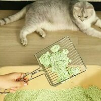 Xẻng xúc cát vệ sinh cho mèo bằng inox. Nếu nhà bạn nuôi trên ba bé mèo đây là chân ái dành cho bạn. Xẻng xúc cát inox �