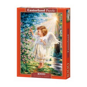 Xếp hình puzzle An Angels Touch 1000 mảnh Castorland C103867