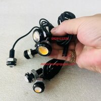 XI NHAN CÚC ÁO LED SIÊU SÁNG