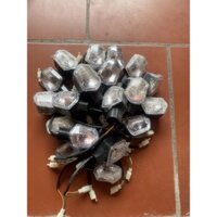 Xi nhan vuông xe điện Zoomer zin