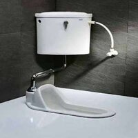 Xí xổm có két nước Caesar CT1250