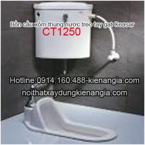 Bồn cầu xổm két nước treo tường Caesar CT1250 (CT-1250)