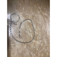 xích chân vẹt xám,amazon,electus,xích ấn...