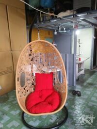 xích đu đồng tiền vàng