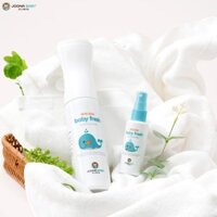 Xịt diệt khuẩn, khử mùi cho đồ chơi, bình sữa, núm ti giả Baby Fresh an toàn cho bé 300ml