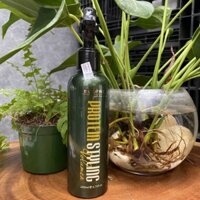 Xịt làm phồng tóc giữ nếp lâu sophia platinum protein styling volunteer hàn quốc 200ml