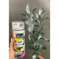 Xịt Màu Hoa Tươi SPRING DECOSPRAY TRẮNG Sơn Xịt Màu Hoa Tươi Nhập Khẩu Hà Lan