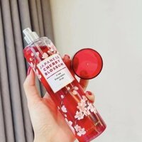 Xịt thơm toàn thân Bath & Body Works Japanese Cherry Blossom Body Mist 236ml