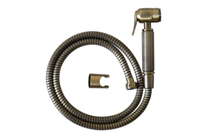 Xịt vệ sinh Kanly GCK22