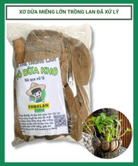 Xơ dừa miếng lớn trồng lan đã qua xử lý