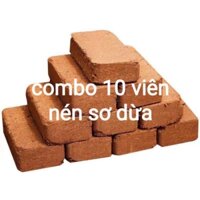 Xơ dừa viên nén hữu cơ tặng 3 món dụng cụ lm vườn