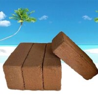 xơ dừa viên nén (mua 10 viên tặng 2 túi phân bón.)