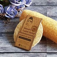 Xơ mướp tẩy trang Ecolife Korea