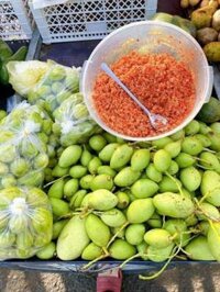 xoài bao tử bán sỉ