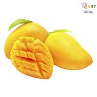 Xoài Cát Chu Chín