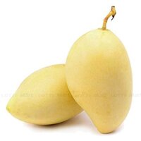 Xoài Cát Chu Vàng 1kg