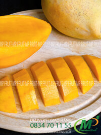 Xoài Cát Hòa Lộc Mango King Chú Chín