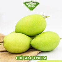 Xoài Cát Hòa Lộc ngon ngọt [CHỈ GIAO TP.HCM]