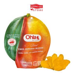 Xoài chín cây sấy dẻo Ohla - 100g