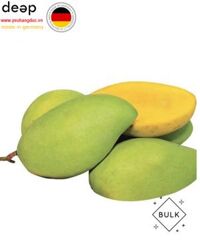 Xoài Hòa Lộc (550g) DEEP23 www.yeuhangduc.vn sẵn sàng cho bạn