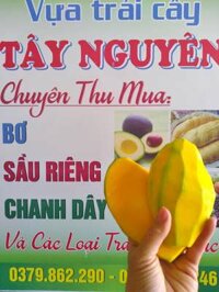 xoài keo xanh ruột vàng