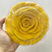 Xoài sấy dẻo xếp hoa hồng 450g Ba Ngon - xoài hoa hồng hộp nhựa trong cao cấp