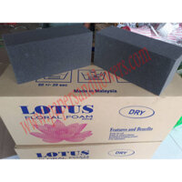 Xốp cắm hoa khô, hoa giả Lotus - 1 thùng 20 viên