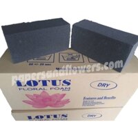 Xốp cắm hoa khô Lotus 1thùng 20v