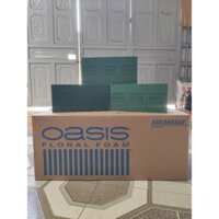 Xốp cắm hoa Oasis 1 Thùng 20 Viên Loại 1