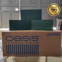Xốp cắm hoa Oasis Loại 1 Thùng 20 viên