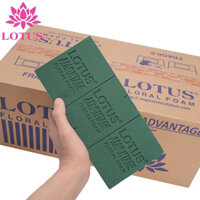 Xốp cắm hoa tươi Lotus