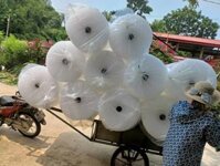 Xốp chống sốc Hà Nội xốp nổ eps xps cách âm tường bọt biển tôn nền nhà xốp nổ cách nhiệt xốp chống nóng xps xốp bọc đóng hàng mua bao nhiêu tiền 1m2 ở đâu tại quận huyện Hà Nội Long Biên Thanh Xuân Bắc Từ Liêm Ba Đình Cầu Giấy Đống Đa Hai Bà Trưng Hoàn Kiếm Hà Đông Tây Hồ Nam Từ Liêm Hoàng Mai Đan Phượng Gia Lâm Đông Anh Chương Mỹ Hoài Đức Ba Vì Mỹ Đức Phúc Thọ Thạch Thất Quốc Oai Thanh Trì Thường Tín Thanh Oai Phú Xuyên Mê Linh Sóc Sơn Ứng Hòa Sơn Tây
