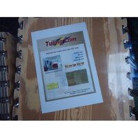 Xốp lót sàn vân gỗ Licomi 60×60 (10 miếng)