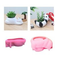 Xu Gấu Cực Chậu Hoa Nhựa Dính Khuôn Cây mọng Nước Giá Đỡ Bê Tông Thạch Cao Khuôn Silicon DIY Trang Trí Nhà