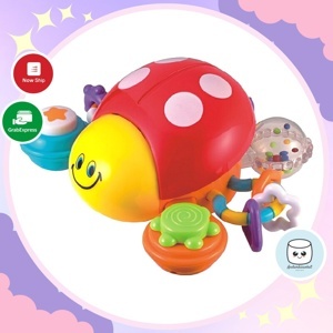 Xúc Xắc Bọ Rùa Chấm Bi Winfun 0720