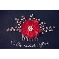 Xược cài tóc chụp ảnh