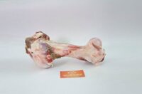 XƯƠNG ỐNG BÒ ÚC ĐÔNG LẠNH - BEEF LEG BONE